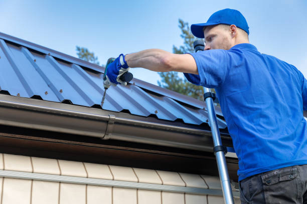 Best Skylight Installation and Repair  in Aurora, SD