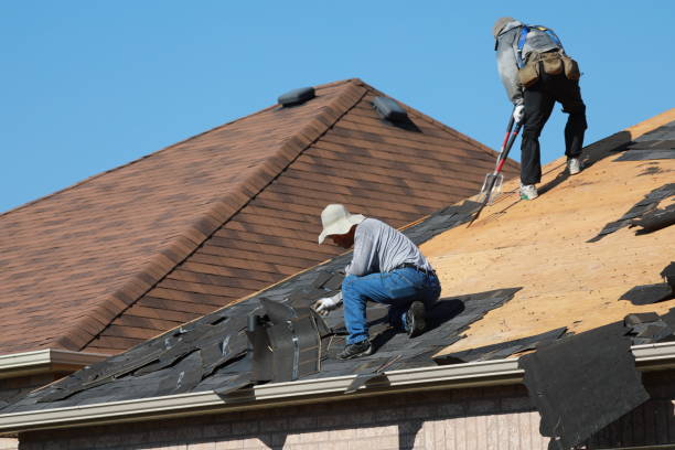 Best Roof Maintenance and Cleaning  in Aurora, SD